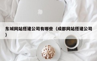 南充东城网站搭建公司有哪些（成都网站搭建公司）